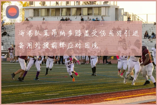 海港队莱昂纳多膝盖受伤或将引进备用外援前锋应对困境