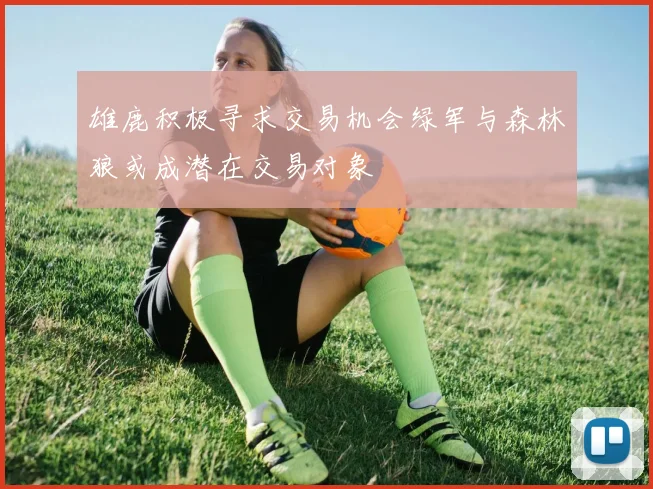 雄鹿积极寻求交易机会绿军与森林狼或成潜在交易对象